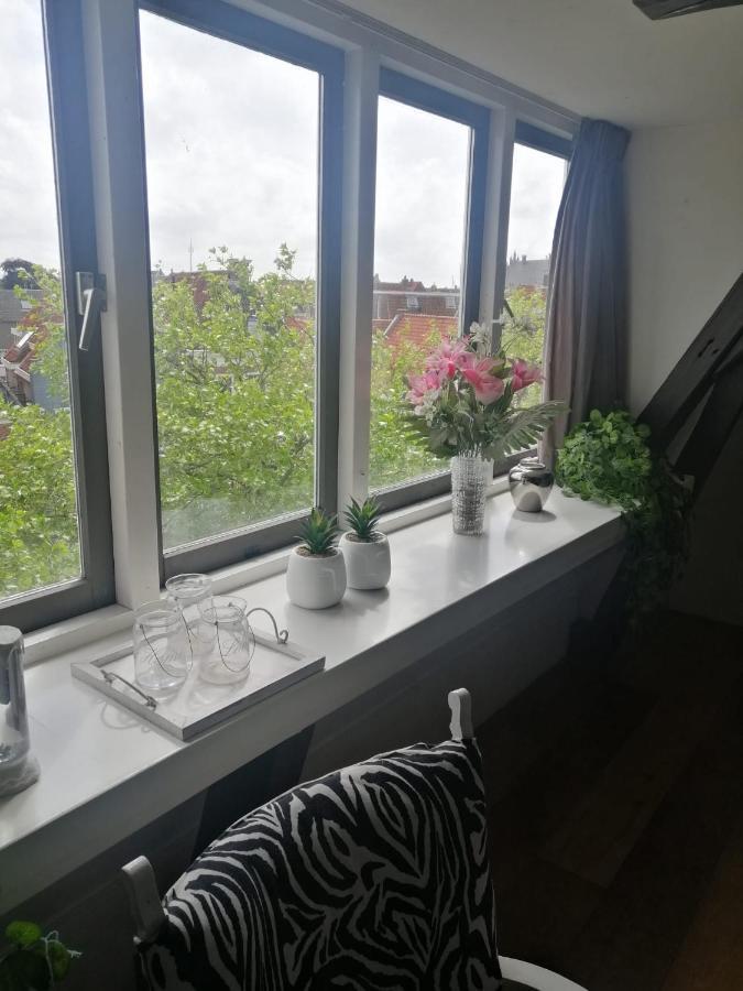 Wittezwaan Bed & Breakfast Harlingen Eksteriør bilde