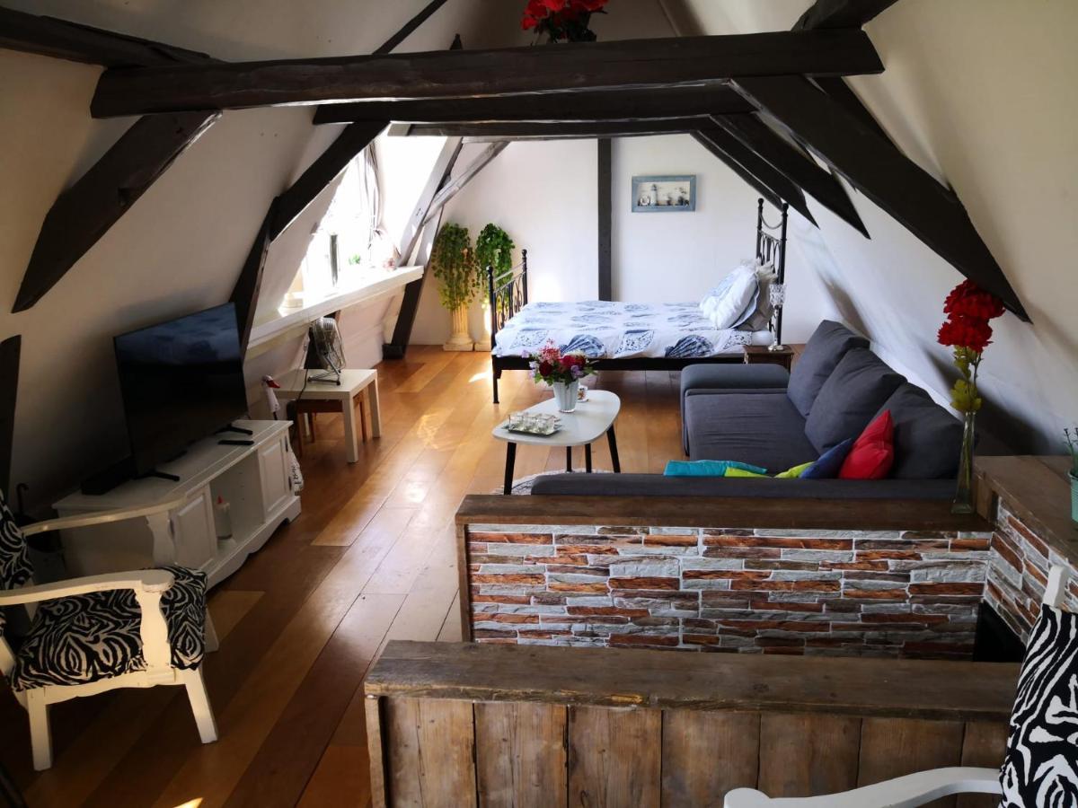 Wittezwaan Bed & Breakfast Harlingen Eksteriør bilde